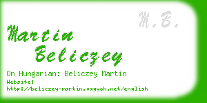 martin beliczey business card